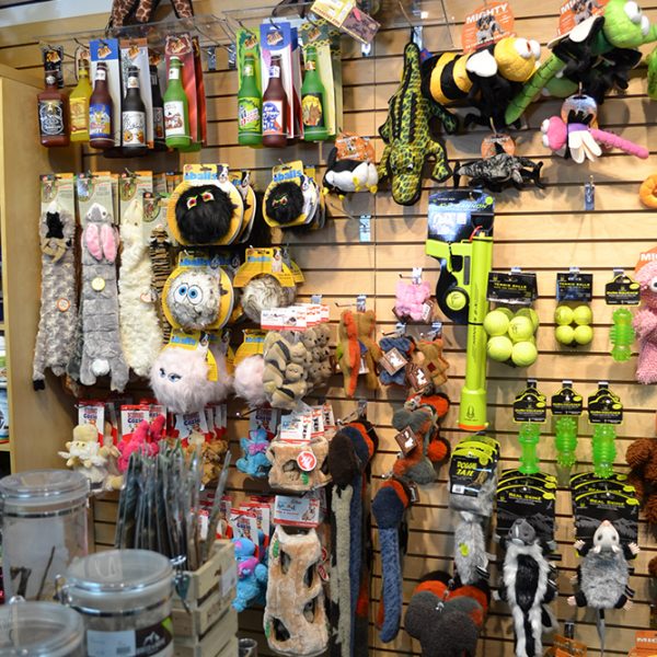 Healthy Tails We are a fullservice pet supply store located in Las